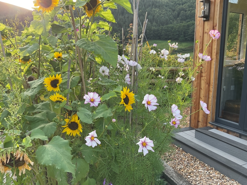 Aberangell Village Gardens